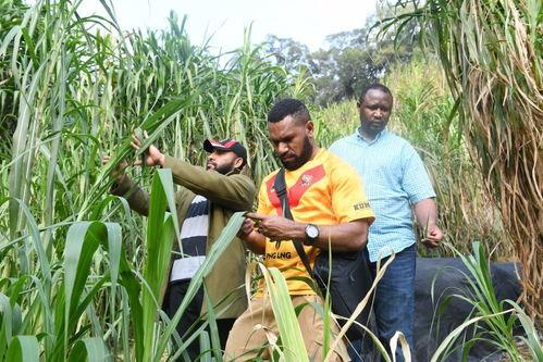 草在线观看100,深度解析热门影视作品背后的故事 第1张 草在线观看100,深度解析热门影视作品背后的故事 第1张